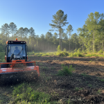 Athens TX Forestry Mulching For Residential Property Cleanup